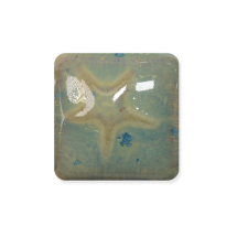 MS-228 Sea Gold Glaze 473mL...