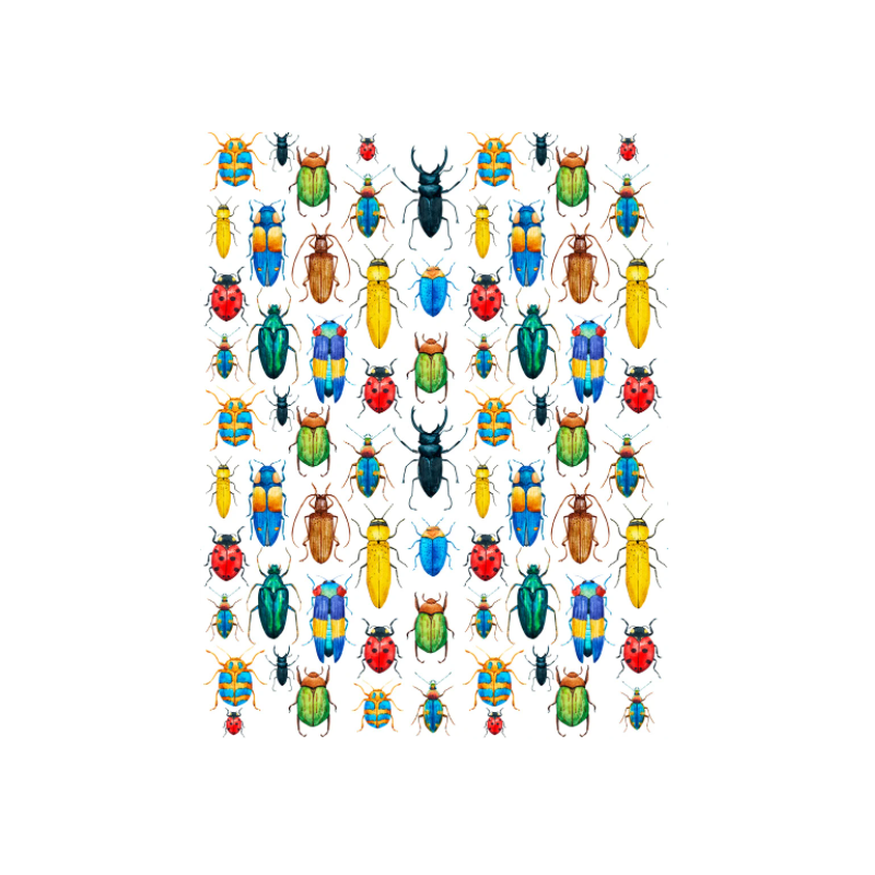Sır Üstü Renkli Dekal Rainbow Bugs (Renkli Böcekler) D-245 (23x28cm)