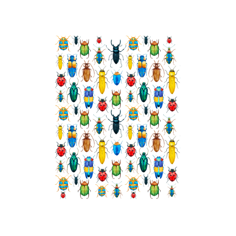 Sır Üstü Renkli Dekal Rainbow Bugs (Renkli Böcekler) D-245 (23x28cm) Sır Üstü Renkli Dekal Rainbow Bugs (Renkli Böcekler) D-245 (23x28cm)