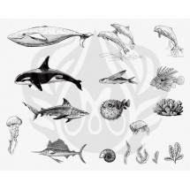 DSS-131 Sea Life-2 Mayco Designer Silk Screen - İpek Baskı (Serigrafi) 30x38 cm Deniz Canlıları-2