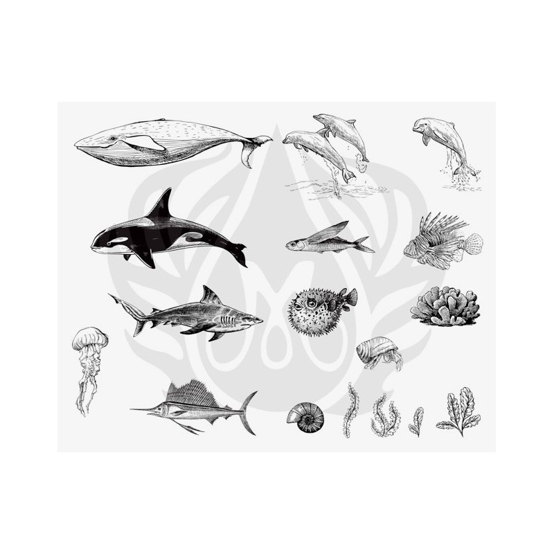 DSS-131 Sea Life-2 Mayco Designer Silk Screen - İpek Baskı (Serigrafi) 30x38 cm Deniz Canlıları-2