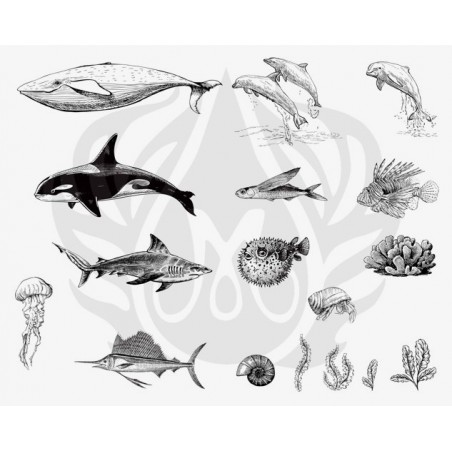 DSS-131 Sea Life-2 Mayco Designer Silk Screen - İpek Baskı (Serigrafi) 30x38 cm Deniz Canlıları-2