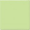 TP-40 Mint Green (Nane Yeşili) Amaco Opak Parlak Düşük Isı 473mL