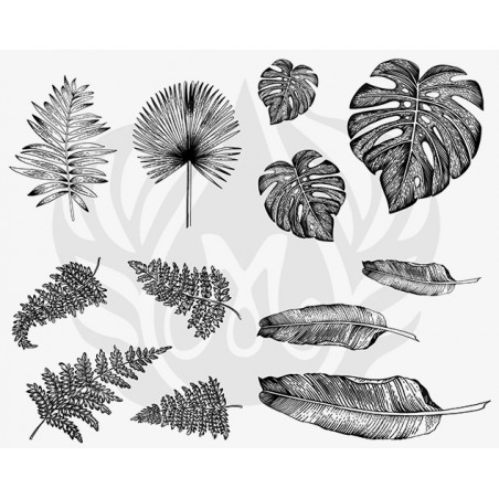DSS-166 Tropical Leaves Mayco Designer Silk Screen - İpek Baskı (Serigrafi) 30x38 cm Tropikal Yapraklar