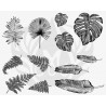 DSS-166 Tropical Leaves Mayco Designer Silk Screen - İpek Baskı (Serigrafi) 30x38 cm Tropikal Yapraklar