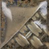 SW-218 Micro Ash Mayco Stoneware 1190-1285°C 473mL SW-218 Micro Ash Mayco Stoneware 1190-1285°C 473mL