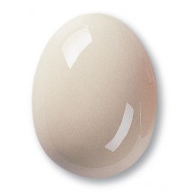 7954 / 254 Transparent (Şeffaf Parlak) Terra Color Toz Sır