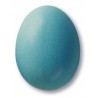 7804 / 304 Turquoise Matt (Mat Turkuaz) Terra Color Toz Sır