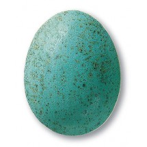 7845 / 345 Speckled Turquoise (Mat Benekli Turkuaz) Terra Color Toz Sır