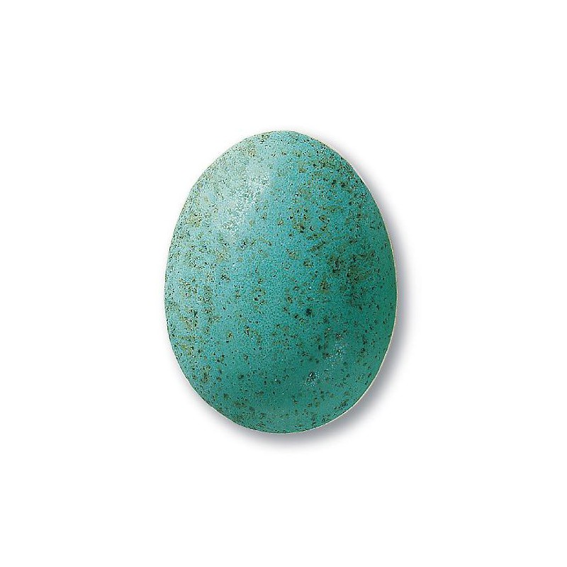 7845 / 345 Speckled Turquoise (Mat Benekli Turkuaz) Terra Color Toz Sır
