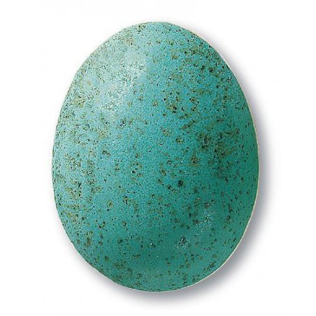 7845 / 345 Speckled Turquoise (Mat Benekli Turkuaz) Terra Color Toz Sır