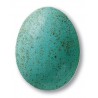7845 / 345 Speckled Turquoise (Mat Benekli Turkuaz) Terra Color Toz Sır