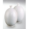 7715A / 6515A Winter White (Efektli Kar Beyazı) Terra Color Yüksek Derece Toz Sır