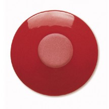 Terra Color Fluid FE 5978...