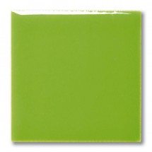 FG 1039 Maigrün (Yeşil) Terra Color Sır 200mL