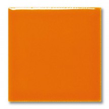 FG 1041 Orange (Turuncu) Terra Color Sır 200mL