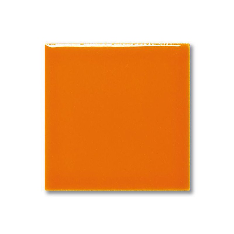 FG 1041 Orange (Turuncu) Terra Color Sır 200mL