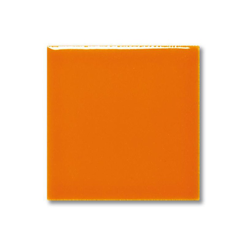 FG-1041 Orange (Turuncu) Terra Color Sır 200mL