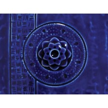 C-20 Cobalt Celadon Amaco 473mL