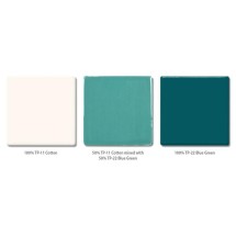 TP-22 Blue Green (Petrol Yeşili) Amaco Opak Parlak Düşük Isı 473mL