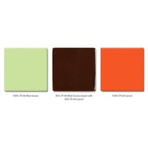 TP-40 Mint Green (Nane Yeşili) Amaco Opak Parlak Düşük Isı 473mL