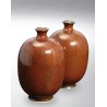 9623 / 6623 Tessha Crystal (Aventurin Kahve) Terra Color Yüksek Derece Toz Sır