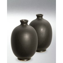 8233 / 633 Matt Black (Mat Siyah) Terra Color Yüksek Derece Toz Sır