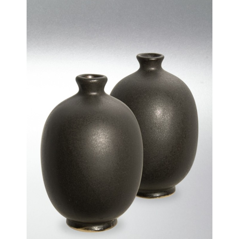 8233 / 633 Matt Black (Mat Siyah) Terra Color Yüksek Derece Toz Sır