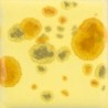 CG-1012 Jungle Gems Haystack 1000–1040°C 4oz - 118mL
