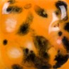 CG-1013 Jungle Gems Papaya 1000–1040°C 4oz - 118mL