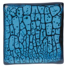 CR-22 Speckled Teal Amaco Crawl 473 mL (Benekli Deniz Mavisi)