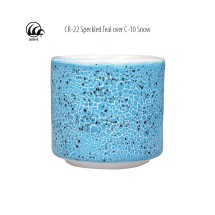 CR-22 Speckled Teal Amaco Crawl 473 mL (Benekli Deniz Mavisi)
