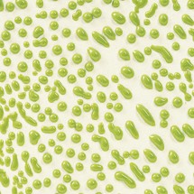 CR-41 Lime Amaco Crawl 473 mL (Limon Yeşili)