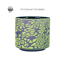 CR-41 Lime Amaco Crawl 473 mL (Limon Yeşili)