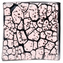 CR-51 Speckled Pink Amaco Crawl 473 mL (Benekli Pembe)