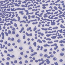 CR-54 Purple Amaco Crawl 473 mL (Mor)