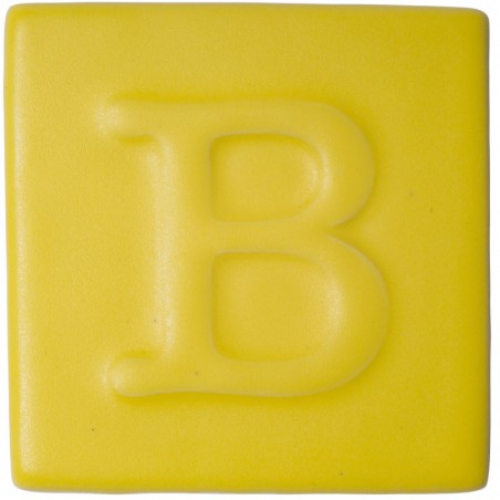 9487 Botz Yellow Matt (Mat Sarı) 200mL