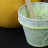 9532 Botz Lemon Sorbet (Limonlu Sorbe) 200mL