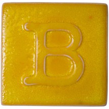 9596 Botz Blazing Yellow (Alev Sarı)