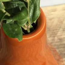 9365 Botz Leather (Karamel) 200mL