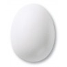 7801 / 301 White Matt (Mat Beyaz) Terra Color Toz Sır