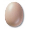 7828 / 328 Porcelain Skin (Yarı Mat Ten Rengi) Terra Color Toz Sır