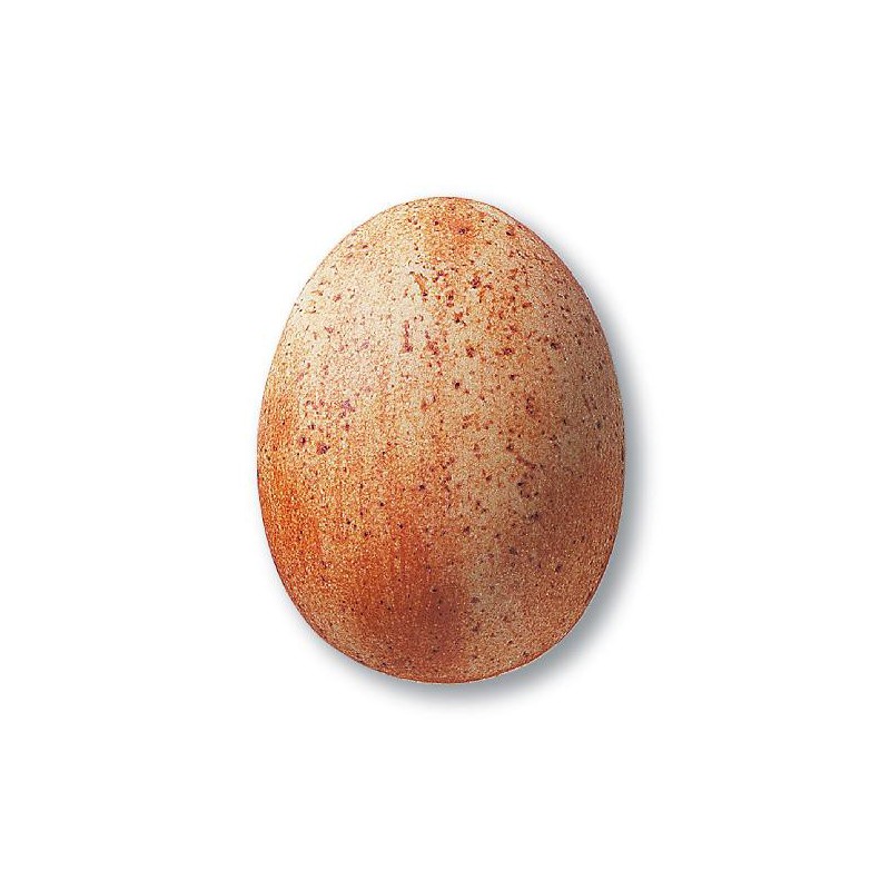 7859B / 359B Terracotta Stone (Efektli Mat Bej) Terra Color Toz Sır 7859B / 359B Terracotta Stone (Efektli Mat Bej) Terra Color Toz Sır