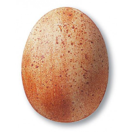 7859B / 359B Terracotta Stone (Efektli Mat Bej) Terra Color Toz Sır