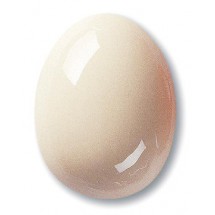 7910 / 210 Transparent (Şeffaf Parlak) Terra Color Toz Sır