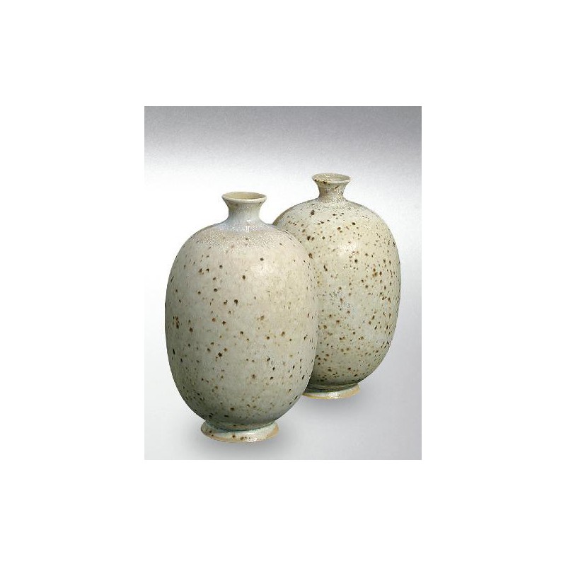 Terra Color (Toz) Porselen Sırları 1200-1260°C Vogelei 8200 / 600