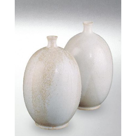 8205 / 605 Porcelain White (Kristalli Beyaz) Terra Color Yüksek Derece Toz Sır