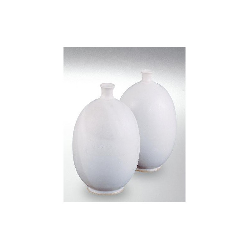 8207 / 607 White Satin (Mat Beyaz) Terra Color Yüksek Derece Toz Sır