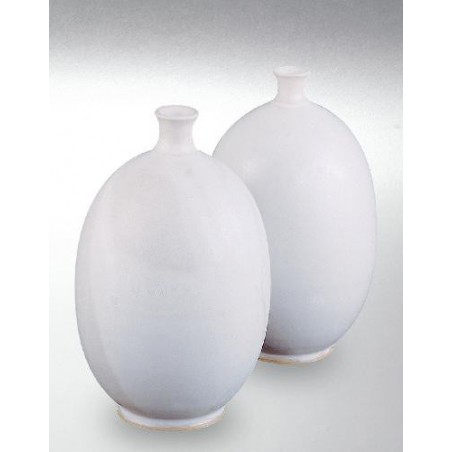 8207 / 607 White Satin (Mat Beyaz) Terra Color Yüksek Derece Toz Sır