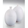 8207 / 607 White Satin (Mat Beyaz) Terra Color Yüksek Derece Toz Sır